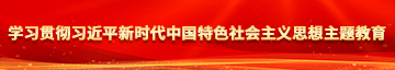 夜夜尻逼逼视频图片学习贯彻习近平新时代中国特色社会主义思想主题教育